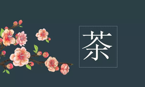 PG赏金女王之家宜昌店业务部发展关于茶艺知识培训