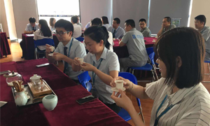 PG赏金女王之家湖北分公司2019飞鹰打算066期之襄阳店发展《茶事礼节培训》